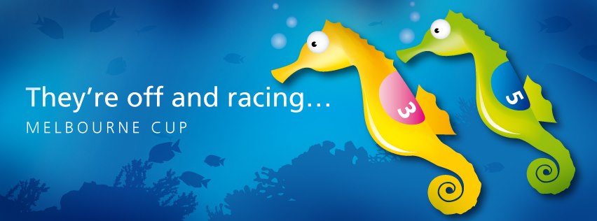 Great barrier reef melbourne cup